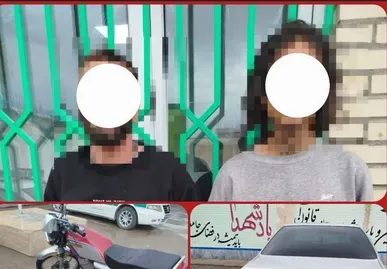 سارقان زورگیر در اردبیل دستگیر شدند