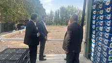 ساوجبلاغ پایلوت کشاورزی هوشمند می‌شود / از هوش مصنوعی تا کاهش مصرف آب