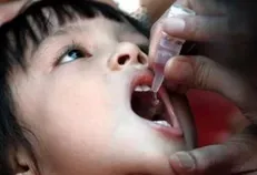 طرح تکمیلی فلج اطفال به همت دانشجویان جهادگر در شهرستان بندرعباس در حال اجراست