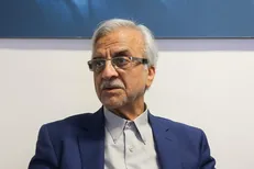 هاشمی‌طبا: حذف ارز ترجیحی کار بسیار خوب و شجاعانه‌ای بود