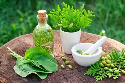 شرکت&zwnj;های دانش&zwnj;بنیان و خلاق ۵ هزار فرآورده گیاهی تولید کردند