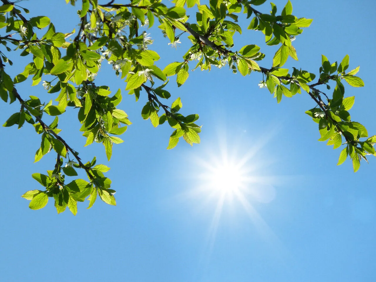 آسمانی صاف در بیشتر مناطق کشور