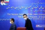 سیلذ