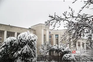 ریسش