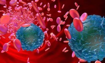 نتایج تحقیقات درباره مقصد نهایی میکروپلاستیک&zwnj;های جذب&zwnj;شده در بدن انسان