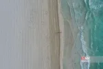 new