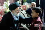 رضوی