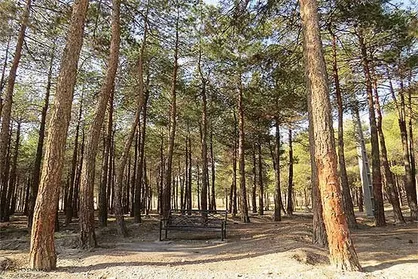 اسامی ۴ بوستان جنگلی تهران که تا ١۵ اردیبهشت تعطیل است