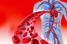 ۲ سال سابقه کار بالینی به شرایط متقاضیان ارشد تکنولوژی گردش خون افزوده شد