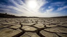 مهار بحران کم‌آبی یزد با اجرای سند سازگاری