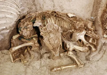 کشف اسکلت کودکان سه هزار ساله در سگزآباد