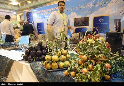 نوآوری به صنعت گیاهان دارویی و طب سنتی تزریق می&zwnj;شود و توانمندی&zwnj;ها به نمایش درمی&zwnj;آید