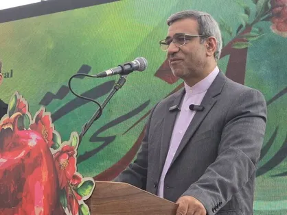برگزاری جشنواره انار باید منجر به ارزش افزوده برای کشاورزان باشد