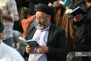 دبب