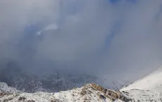 شناسایی محل دقیق سقوط هواپیما از طریق ماهواره