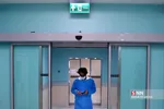 شسب