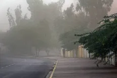 هشدار زرد هواشناسی در البرز / وزش باد شدید و گردوخاک تا پایان هفته