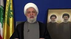 روایت برادری شیخ نعیم قاسم با شهید نصرالله و تثبیت پروژه مقاومت