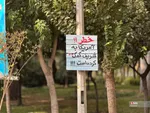 شریف