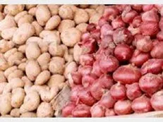 افزایش قیمت پیاز، سیب‌زمینی و گوجه در یک سال گذشته / قیمت برخی کالا‌های اساسی و مهم