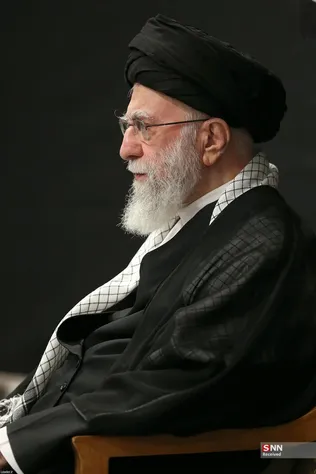 دبب
