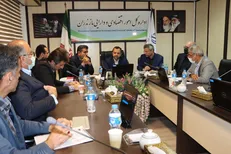 وزارت اقتصاد همراهی لازم را در توسعه مازندران دارد