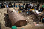 طلای سیاه در مناطق محروم 