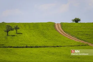 جلوه های زیبای طبیعت