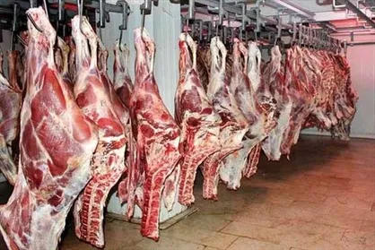 دریافت تفاوت ۴۸۰۰ تومانی از گوشت&zwnj;های وارداتی در گمرک&zwnj;مانده