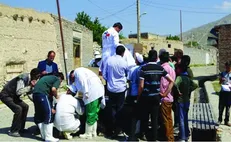 گروه جهادی دامپزشکان دانشگاه ارومیه در چالدران خدمت رسانی کرد