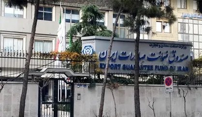 بی&zwnj;اطلاعی صادرکنندگان از وجود صندوق ضمانت صادرات ایران! / تجارت با کشور&zwnj;های منطقه در زمره پر ریسک&zwnj;ترین&zwnj;ها