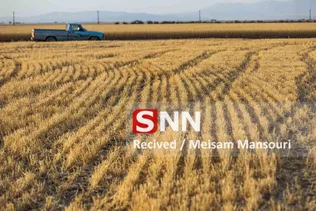 324234