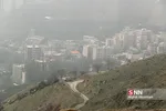 آلودگی هوای تهران