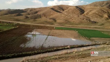 آبگرفتگی زمین&zwnj;های کشاورزی بر اثر باران شدید در بجنورد/ عدم لایروبی و ترمیم، علت شکسته شدن کانال هدایت آب+ فیلم