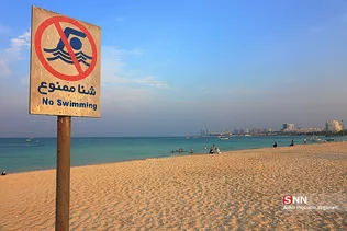 کیش