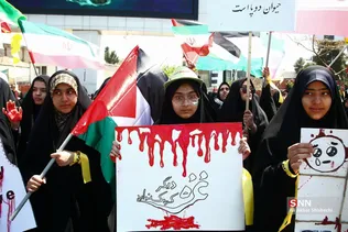 دبب