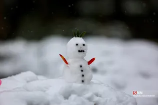 7654
