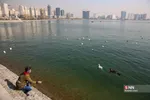 ا5