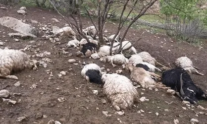 مرگ تلخ در دره&zwnj;شهر با آذرخش