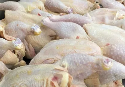 ماجرای پیشنهاد گران کردن مرغ از سوی وزارت جهاد کشاورزی