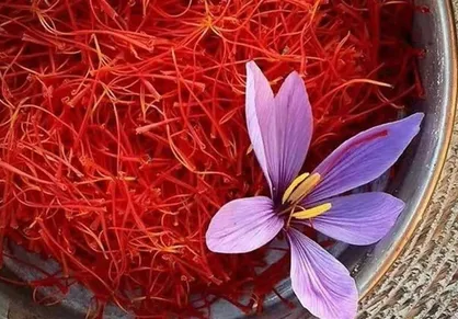 خراسان رضوی مقام اول تولید سه گیاه دارویی ارزآور در کشور