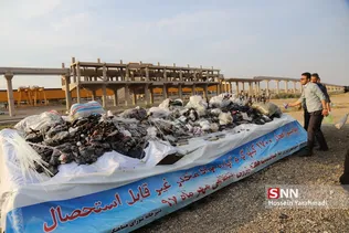 مواد