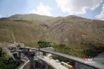 new