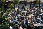 بیبب