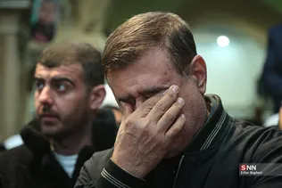 دبب