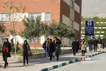 علامه