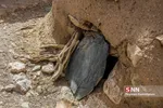 ماخونیک