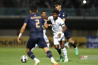 دبب