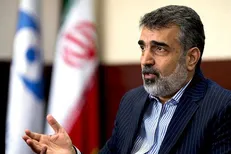 آمادگی برای همکاری با کشور‌های اسلامی در توسعه فناوری هسته‌ای