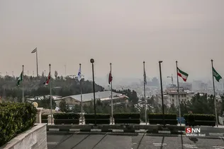 New